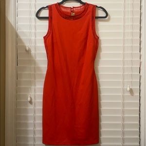 Gianni Bini fitted dress